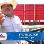 BUEN AÑO PARA LA FRUTICULTURA EN CANATLÁN